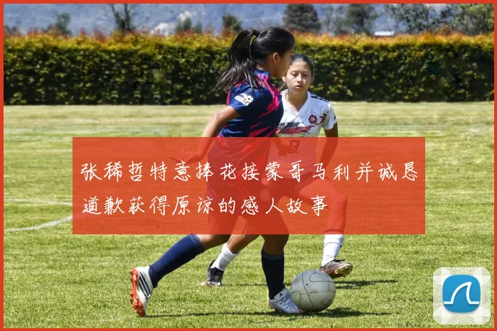 张稀哲特意捧花接蒙哥马利并诚恳道歉获得原谅的感人故事