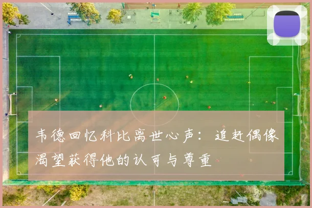 韦德回忆科比离世心声：追赶偶像渴望获得他的认可与尊重