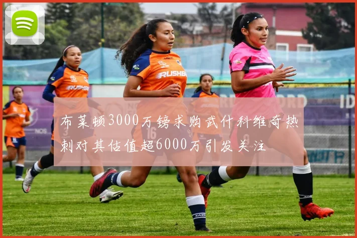 布莱顿3000万镑求购武什科维奇热刺对其估值超6000万引发关注