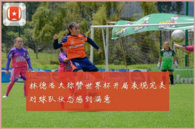 林德洛夫称赞世界杯开局表现完美对球队状态感到满意
